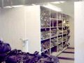 GSA Contract Mobile Shelving 