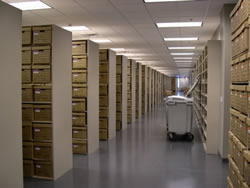 Archive Box Storage