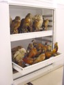 GSA Museum Shelving